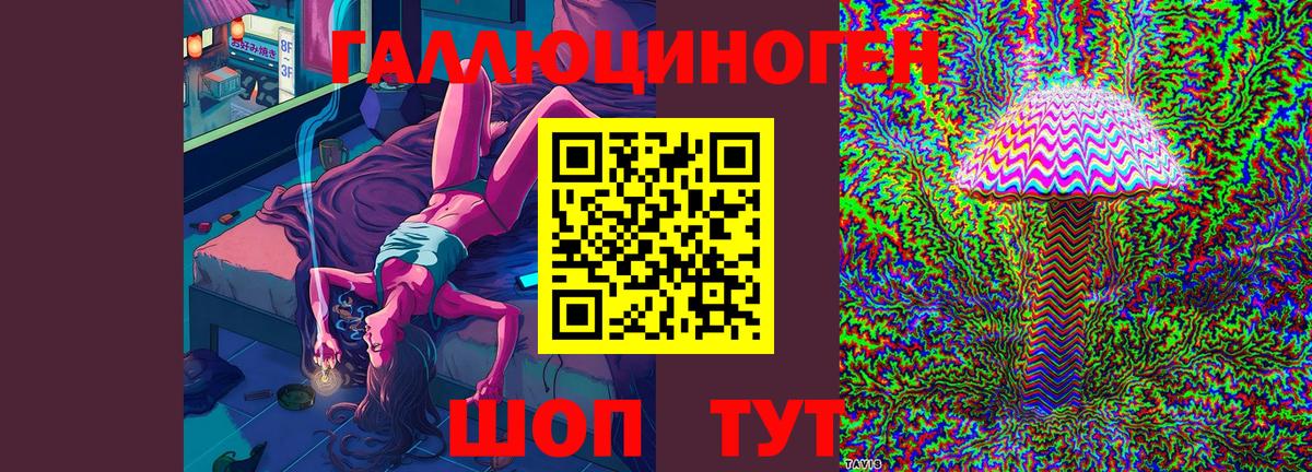 Галлюциногенные грибы Psilocybine cubensis  Альметьевск 