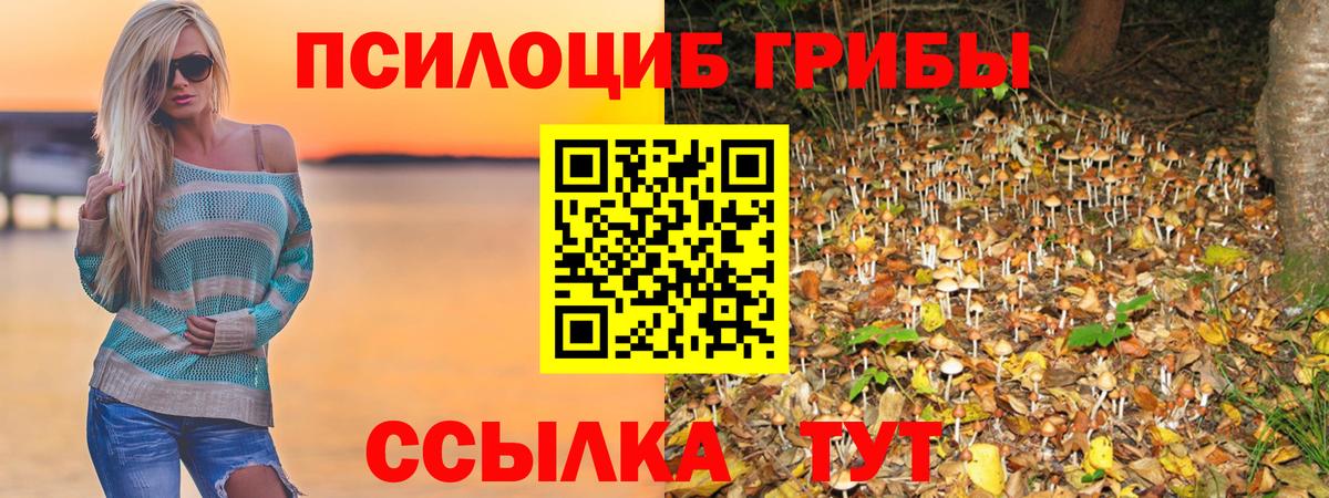 Альметьевск  Псилоцибиновые грибы мухоморы  Вход с VPN  Галлюциногенные грибы мухоморы 