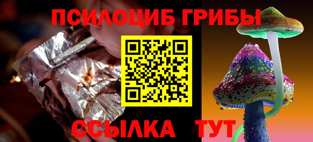 Галлюциногенные грибы Psilocybine cubensis Альметьевск