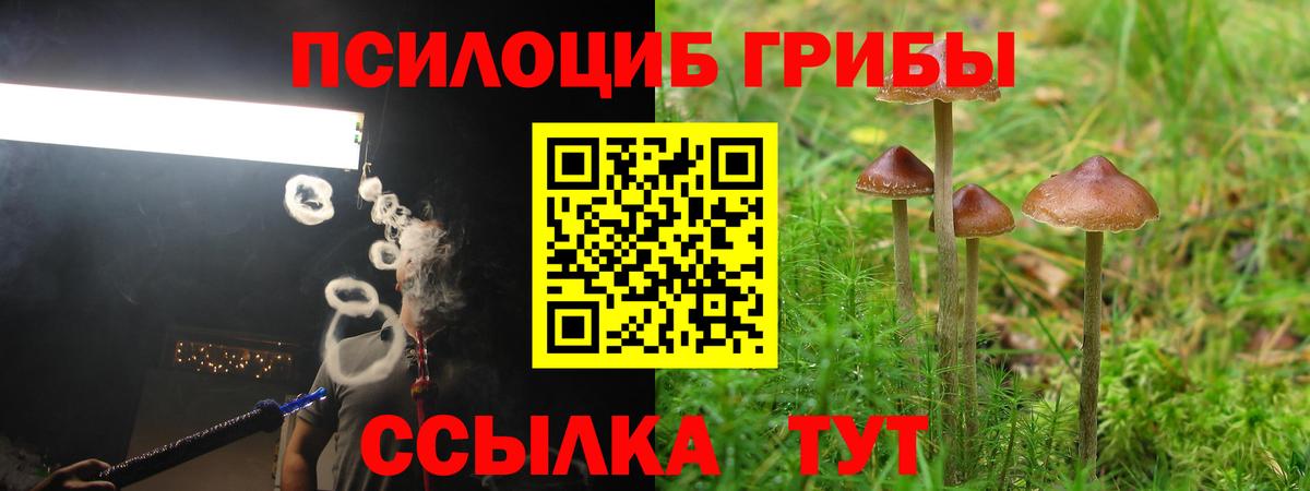 Псилоцибиновые грибы GOLDEN TEACHER Альметьевск