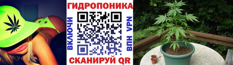 Конопля ГИДРОПОН  хочу наркоту  Альметьевск 